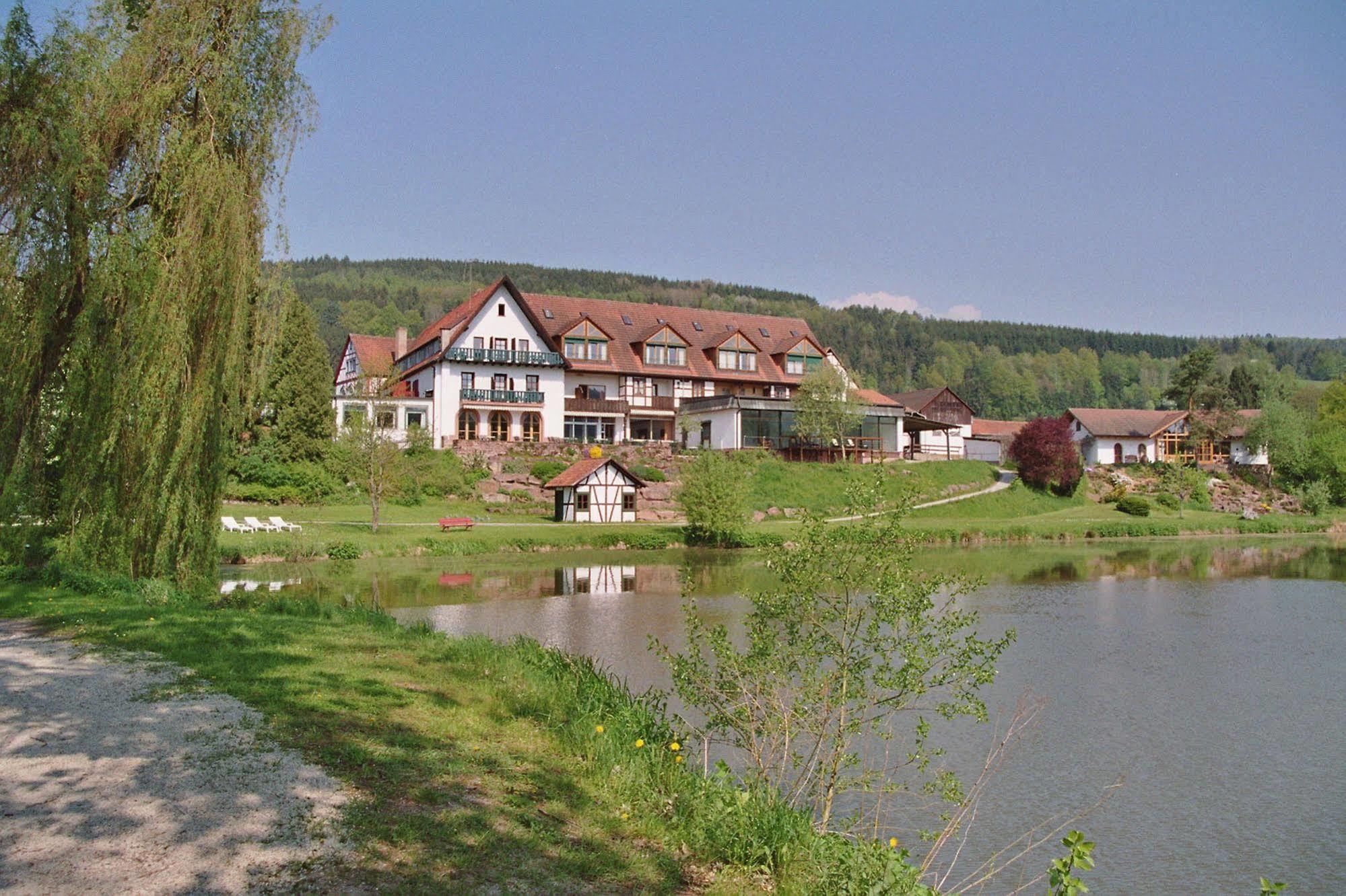 Hotel Seehotel Gut Dürnhof Rieneck