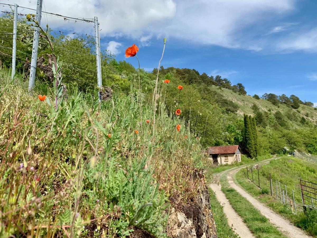Seehotel Gut Duernhof 3* Rieneck